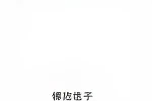 《雾港来信》番位调整话题封面图